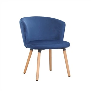 Scaun Accent de catifea Scaun lateral pentru agrement